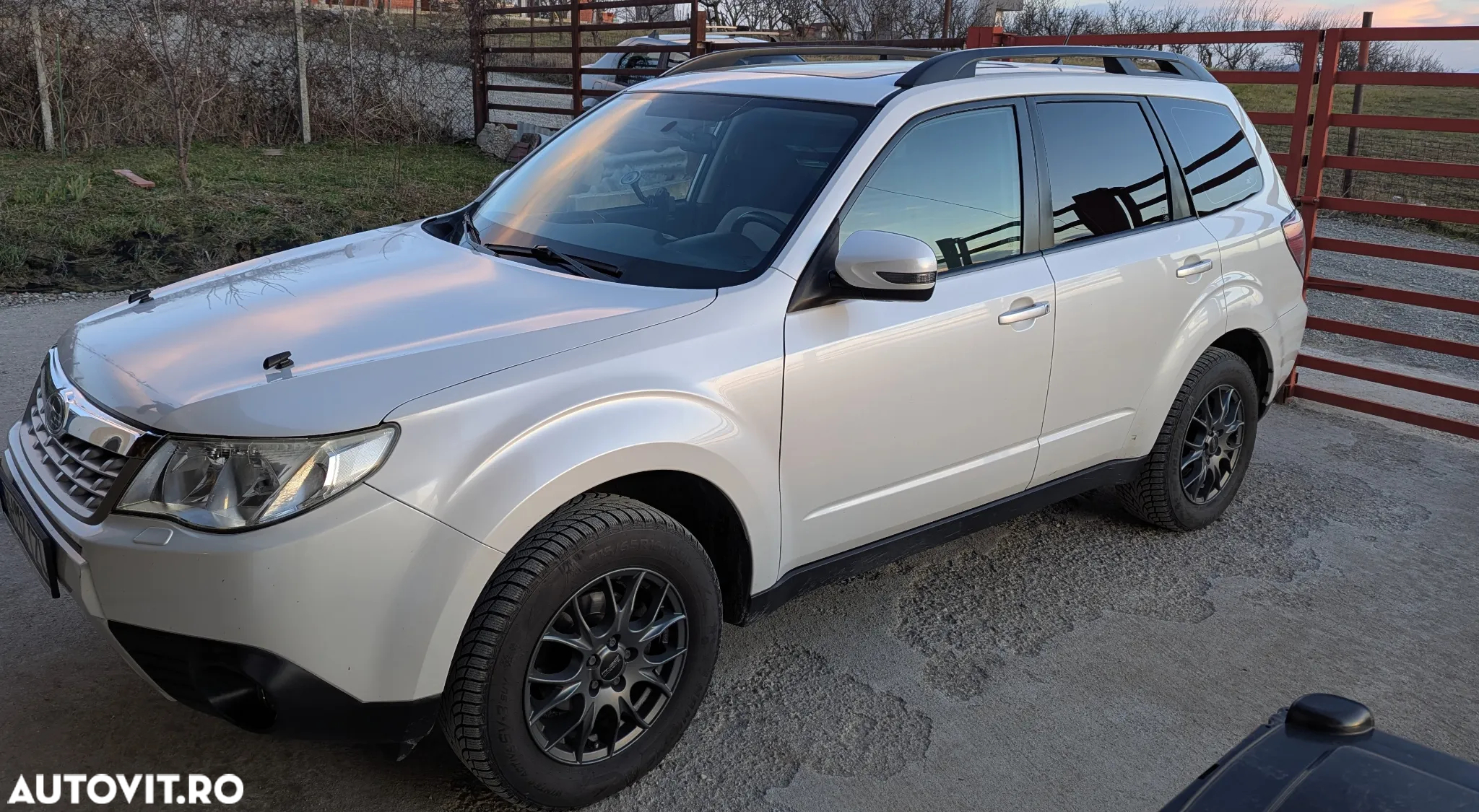 Subaru Forester - 3