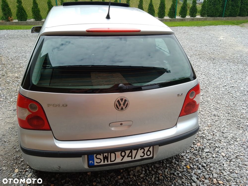 Volkswagen Polo - 7