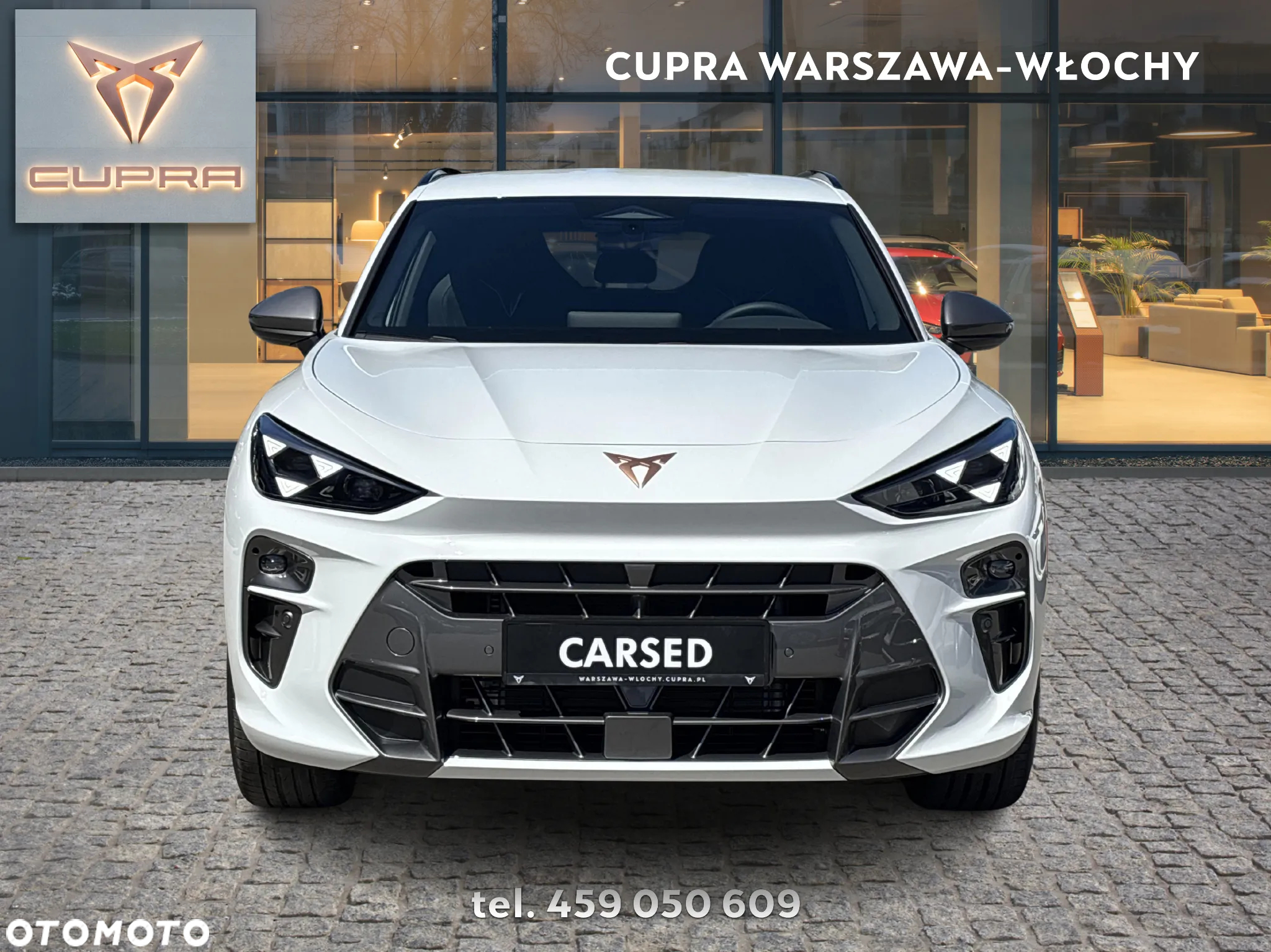 Cupra Terramar 2.0 TSI 4Drive DSG - 8