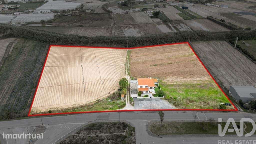 Casa / Villa T3 em Atouguia da Baleia de 232 m2 - Grande imagem: 2/3