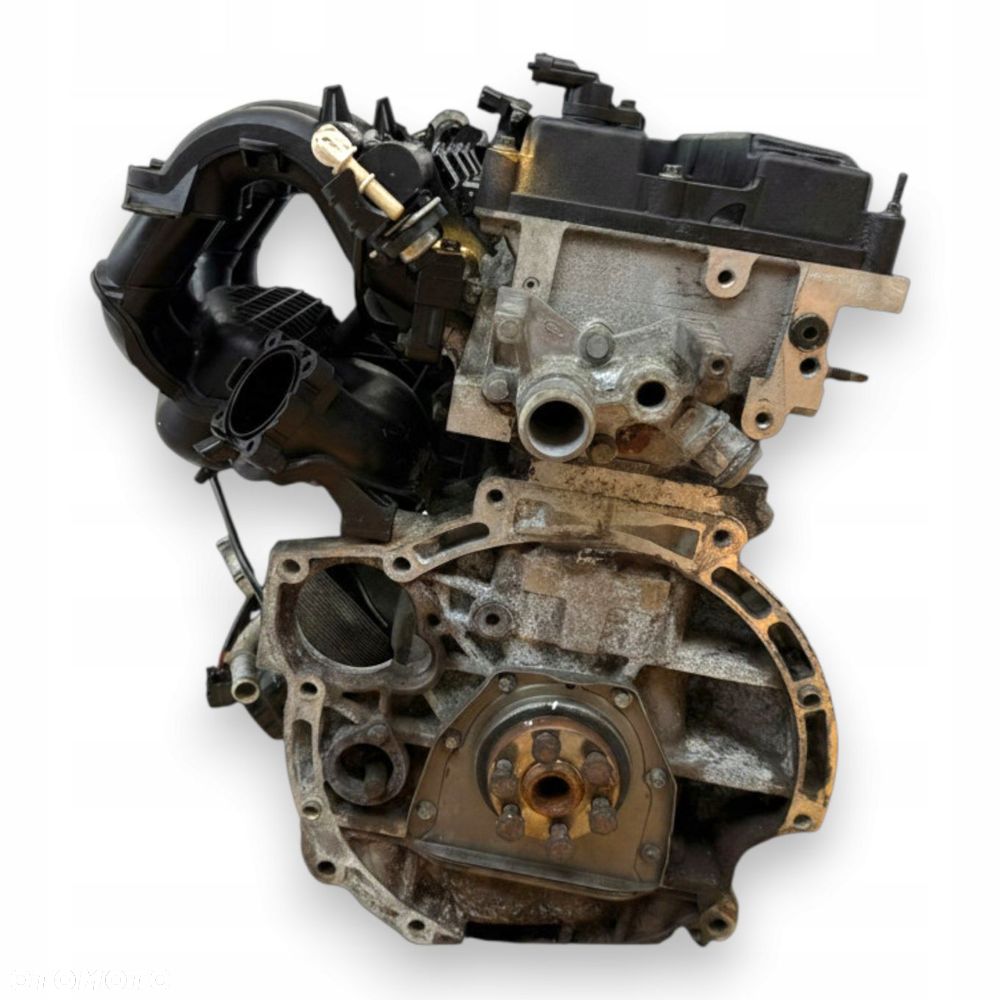 SILNIK HXDB Ford Focus II MK2 C Max C-Max 1.6 16V Ti HXDA nowy rozrząd - 7