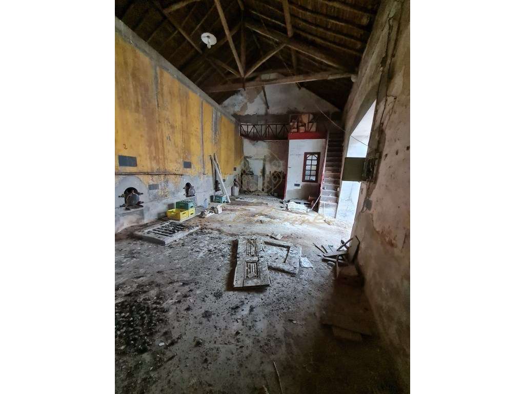 Antiga Adega por recuperar - Grande imagem: 3/10