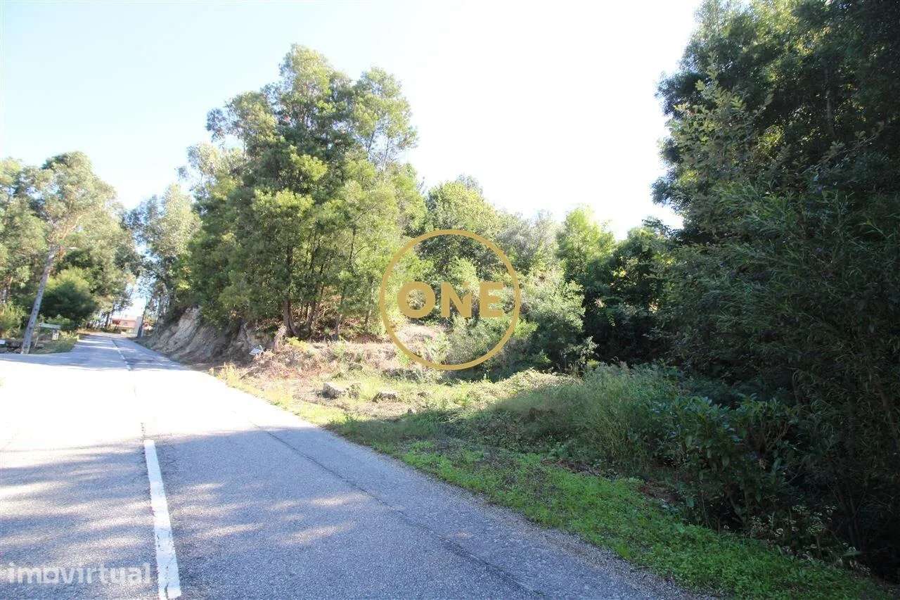 Terreno/Bouça com 8.426m2 em Armil/Fafe para venda - Grande imagem: 5/6