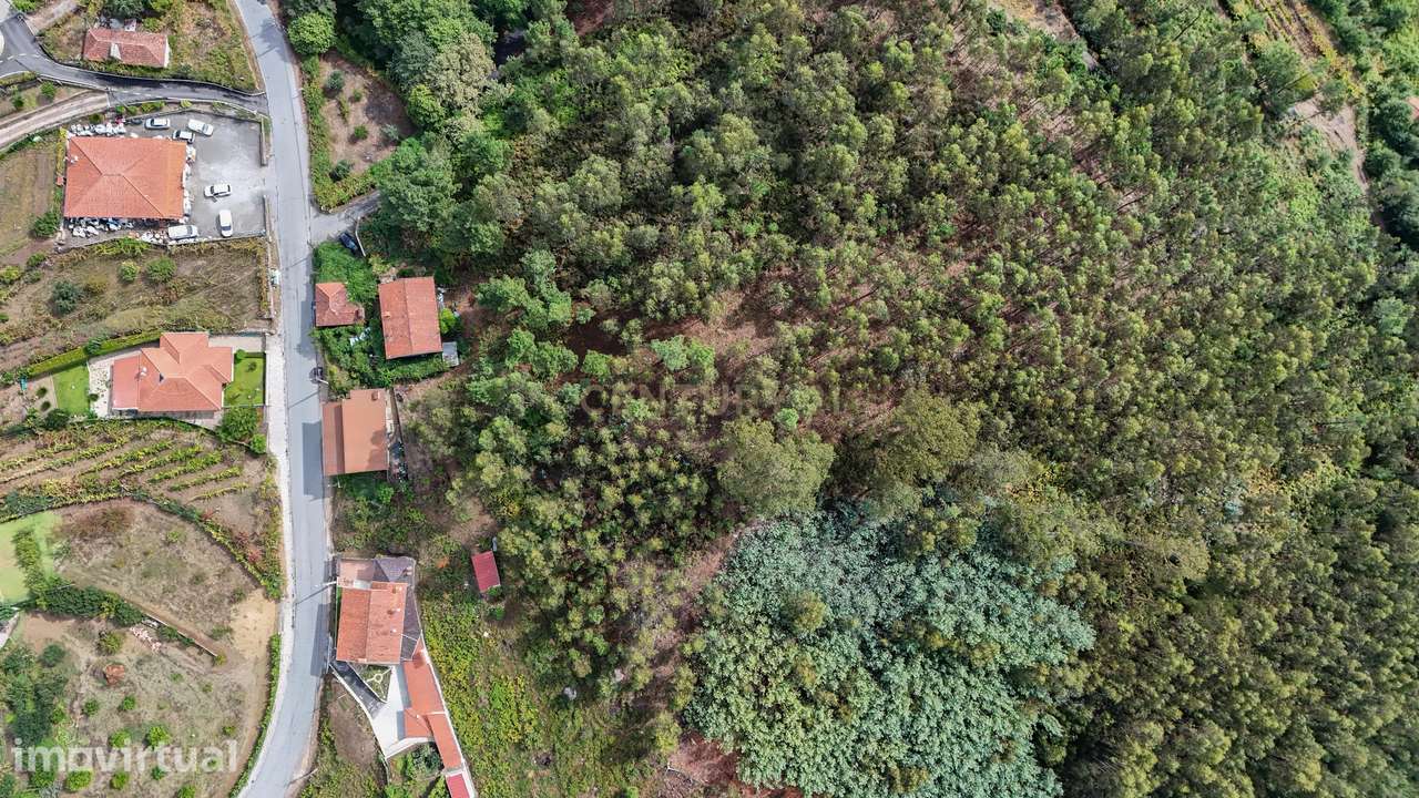 Venda de Terreno Rústico – Excelente Potencial para Projeto Fotovoltai - Grande imagem: 2/14