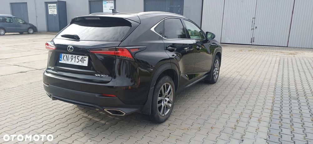 Lexus NX 300 - 14