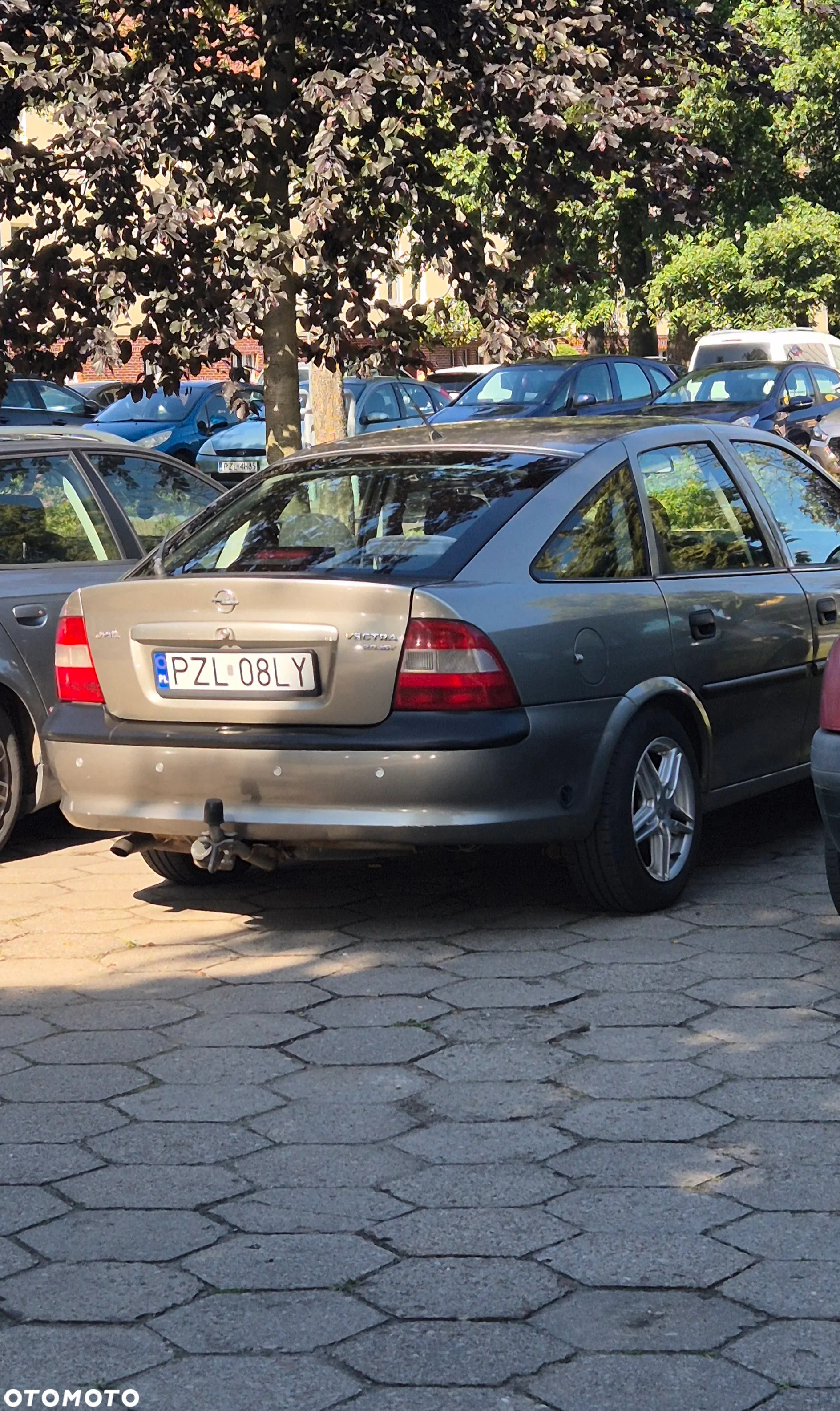 Opel Vectra - 6
