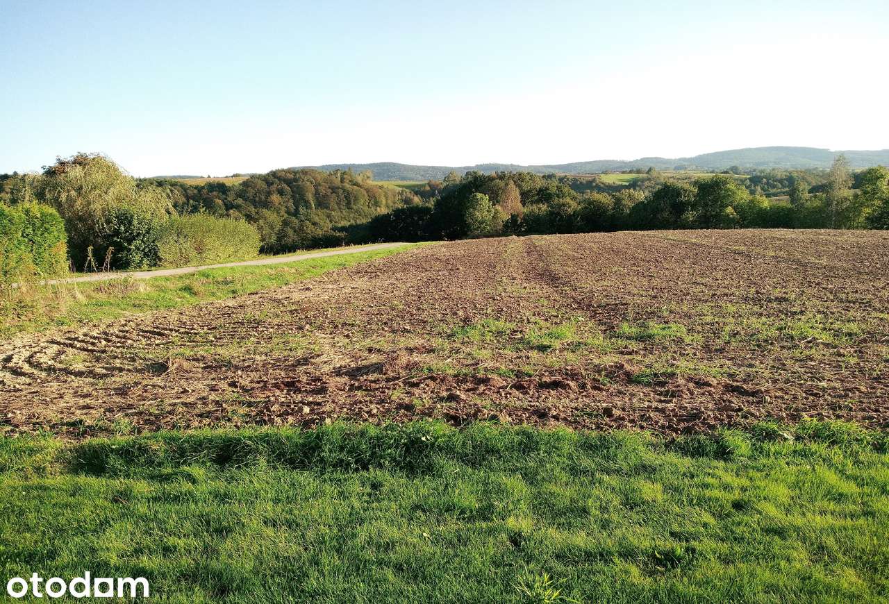 Działka 5000 m² w malowniczej okolicy - Pełny obrazek: 2/3