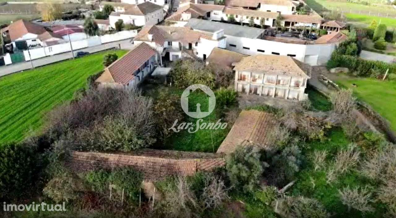 Quinta com 9.000m2, em Fradelos, Vila Nova de Famalicão! - Grande imagem: 3/26