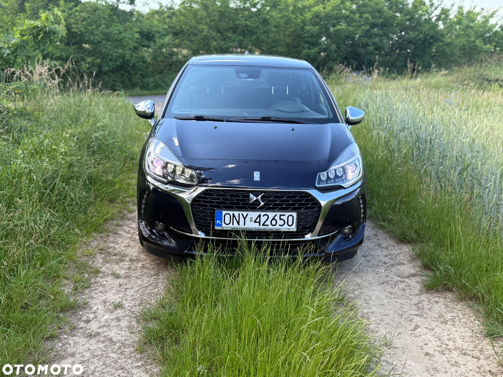 DS Automobiles DS 3 - 2