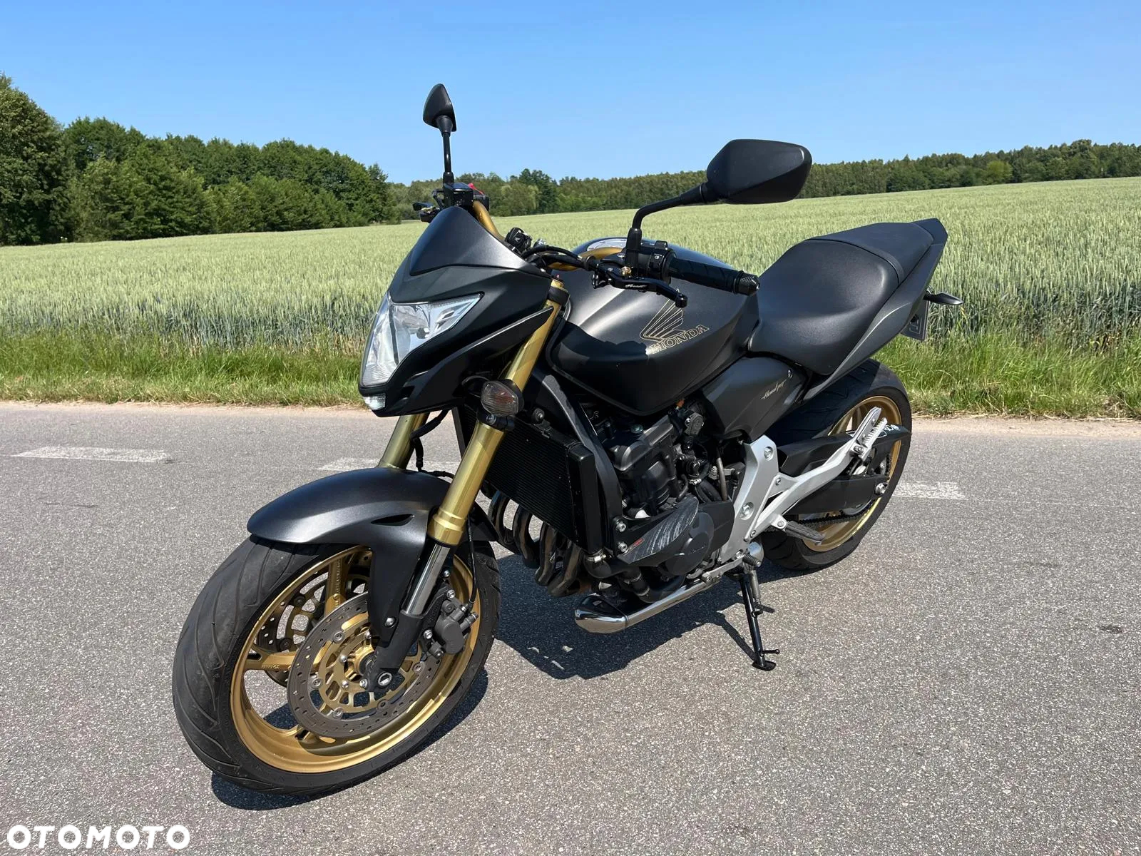 Honda Hornet - 14
