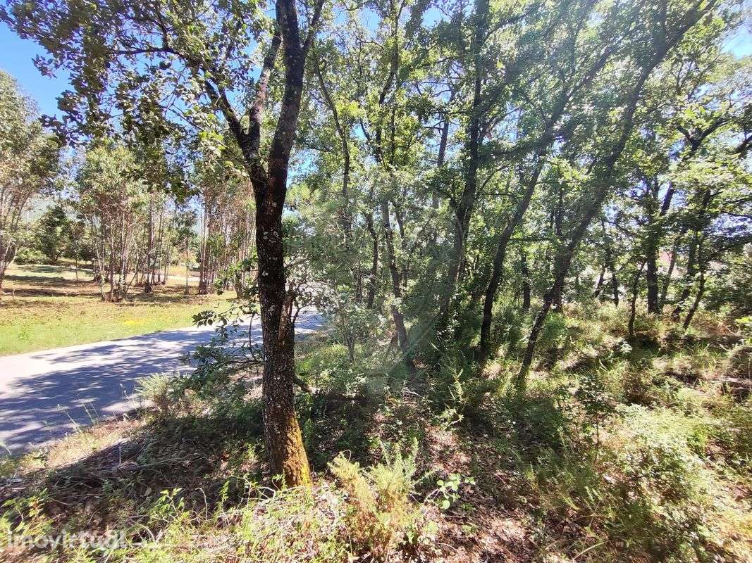 Terreno  para venda - Grande imagem: 5/23