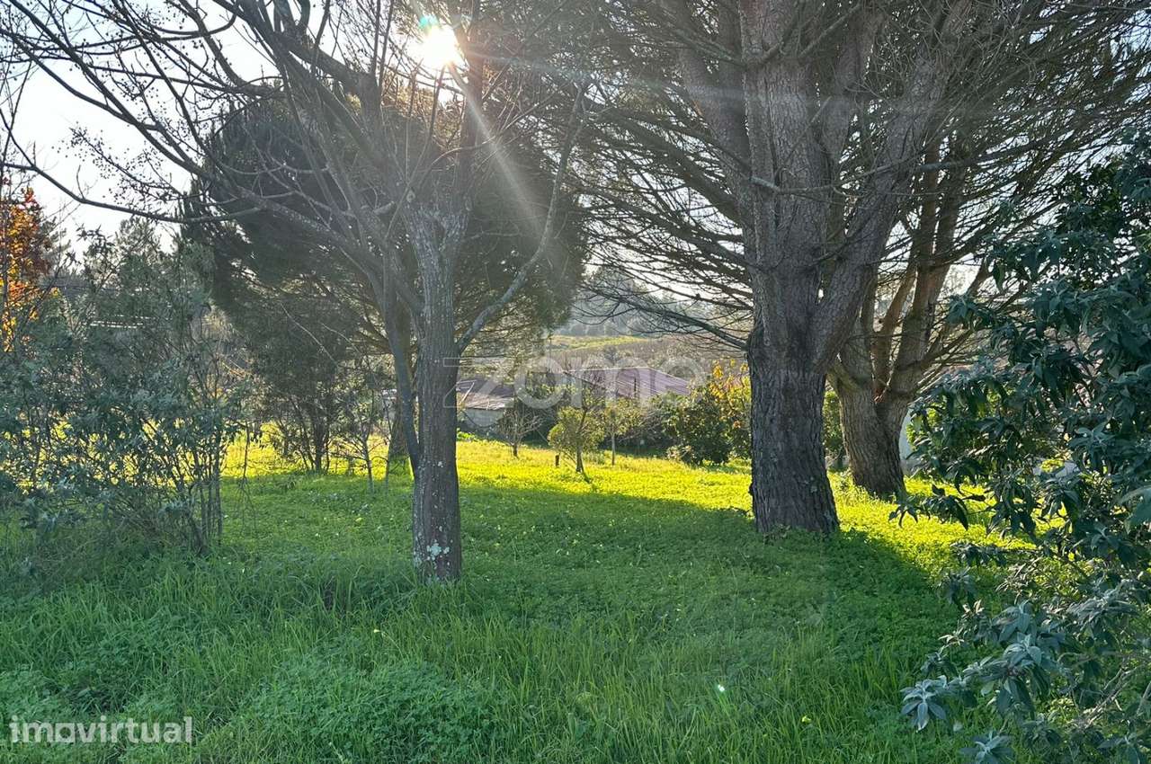 Terreno Urbano em Aguim com 2650m2 - Grande imagem: 5/20