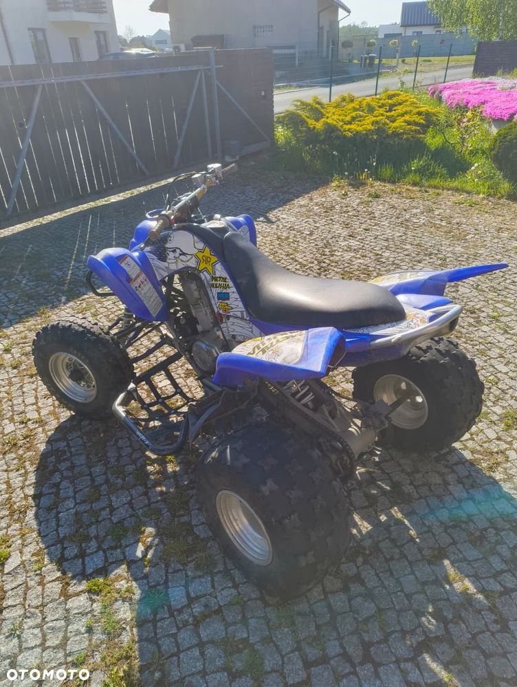 Yamaha Raptor - 7