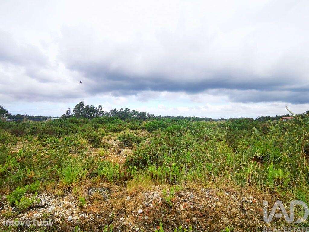 Terreno para construção em Marrazes e Barosa de 102000,00 m2 - Grande imagem: 3/27