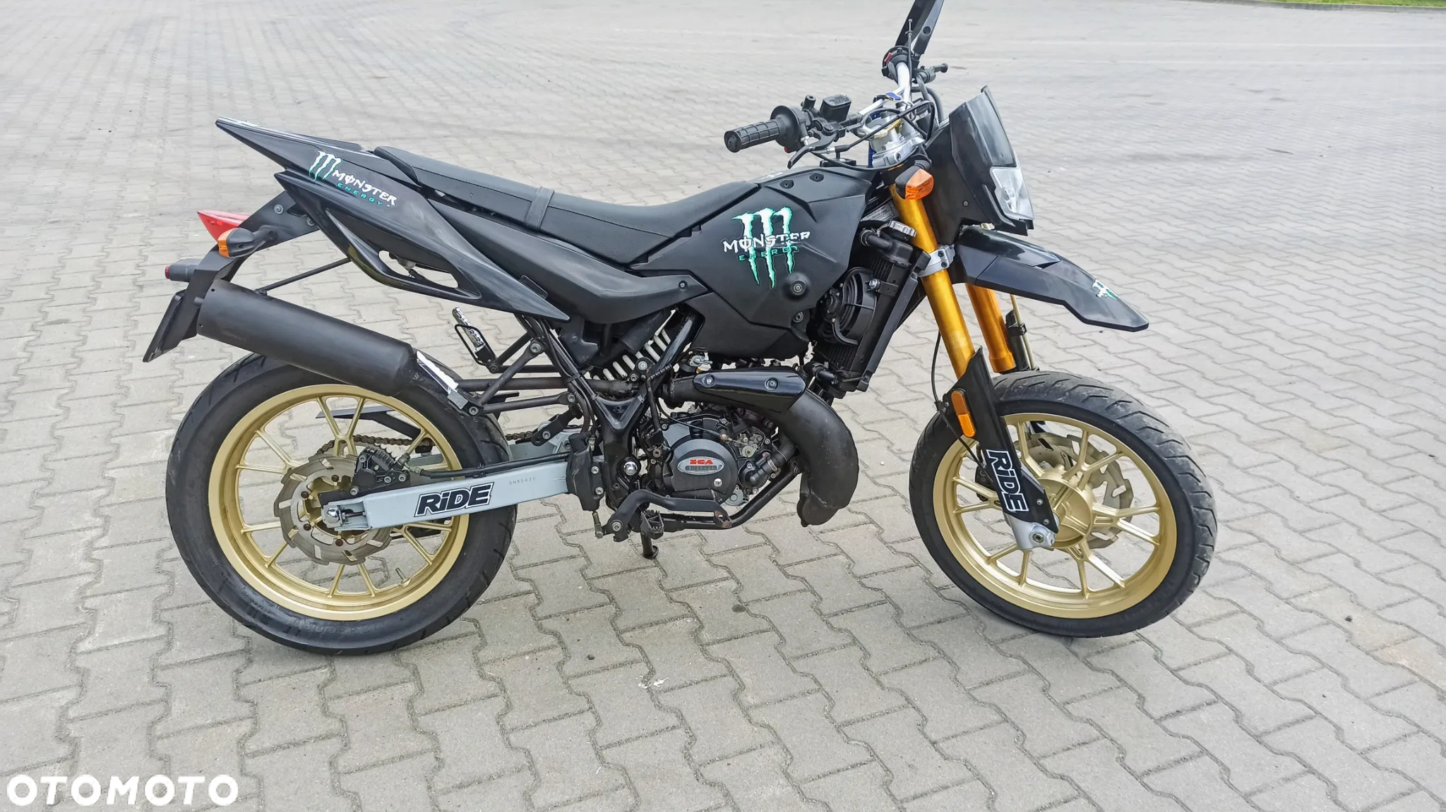 Generic Tiger