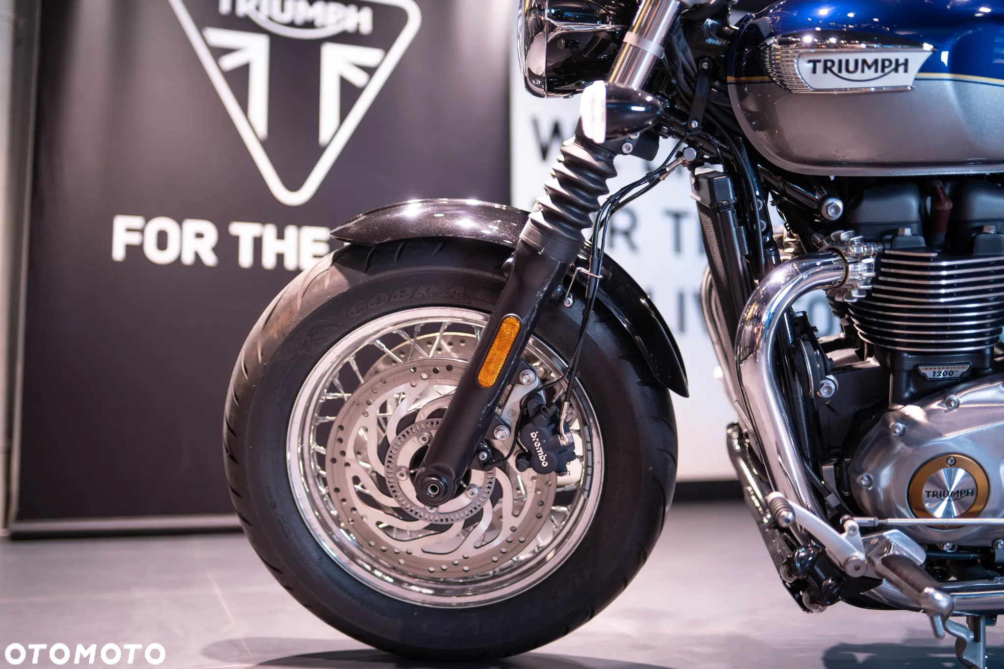 Triumph Speedmaster - 31