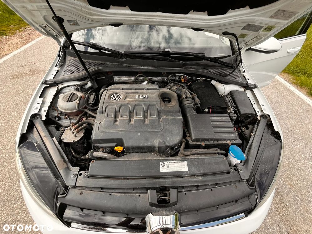 Volkswagen Golf - 8