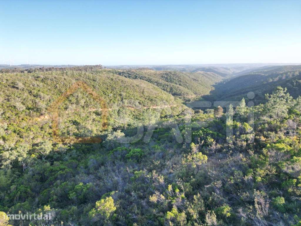 Herdade com 276 ha, enorme potencial para investidores! - Grande imagem: 2/26