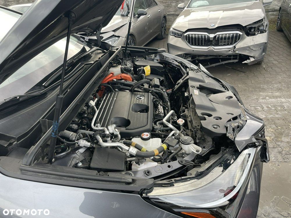 Lexus NX 450h+ E-FOUR Business - 18