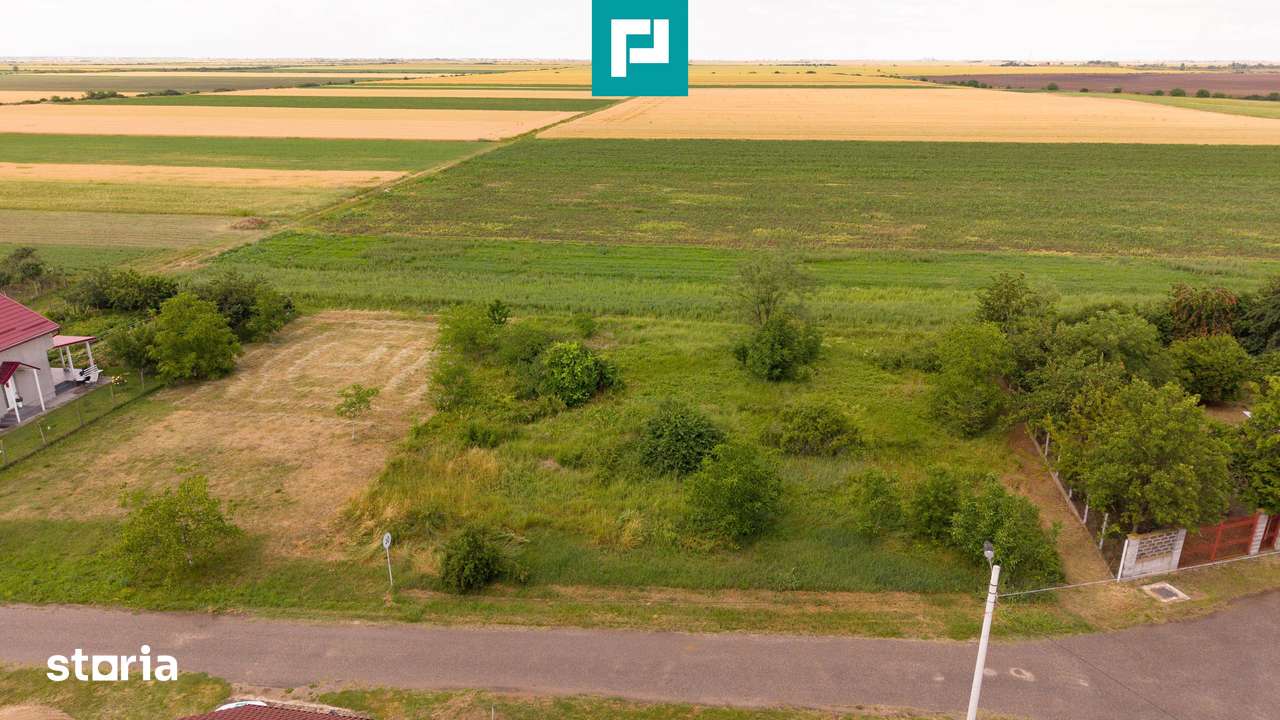 Teren intravilan de 596mp în Cicir, Vladimirescu - Imagine principală: 3/20