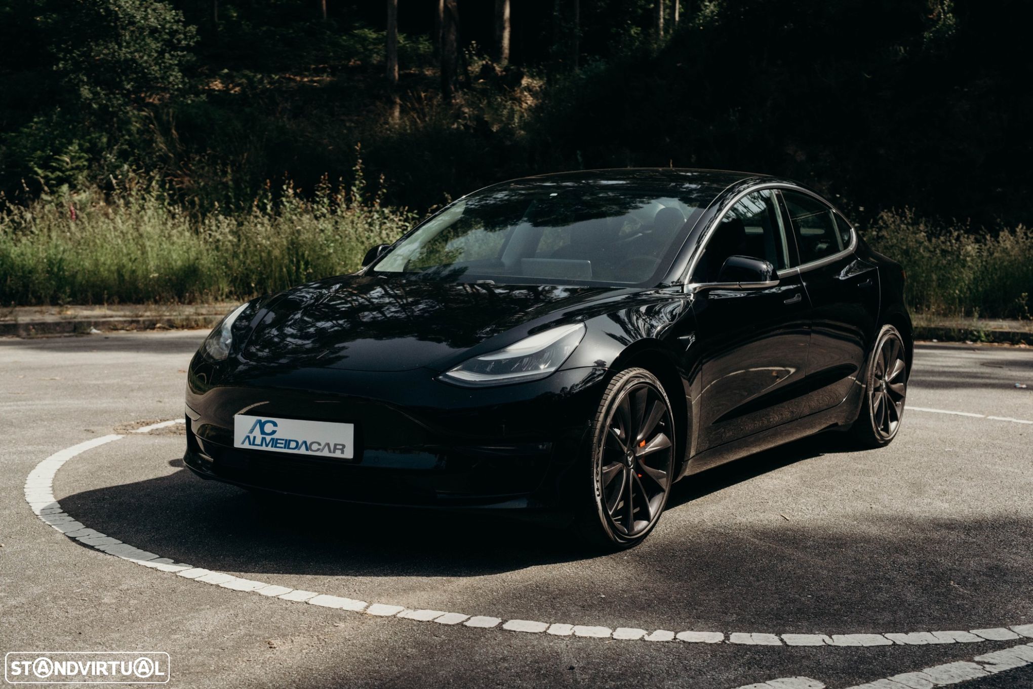 Tesla Model 3 Performance Dual Motor AWD - 1