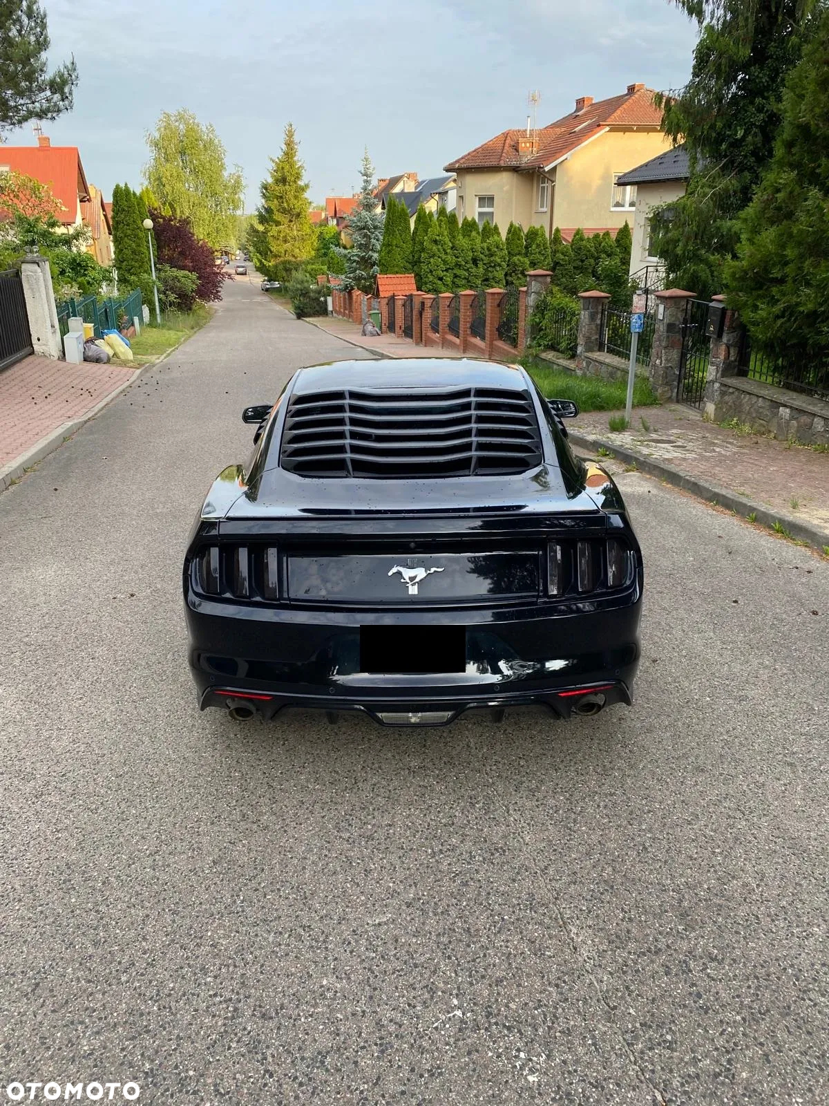 Ford Mustang - 5