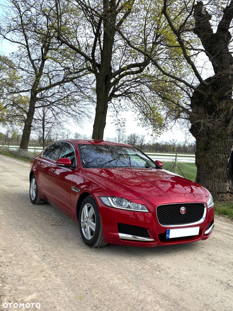 Jaguar XF 2.0 i4D Prestige - 3