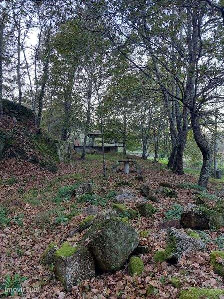 Vende-se Quinta em Soalhães | Aluga-se para eventos - Grande imagem: 5/12