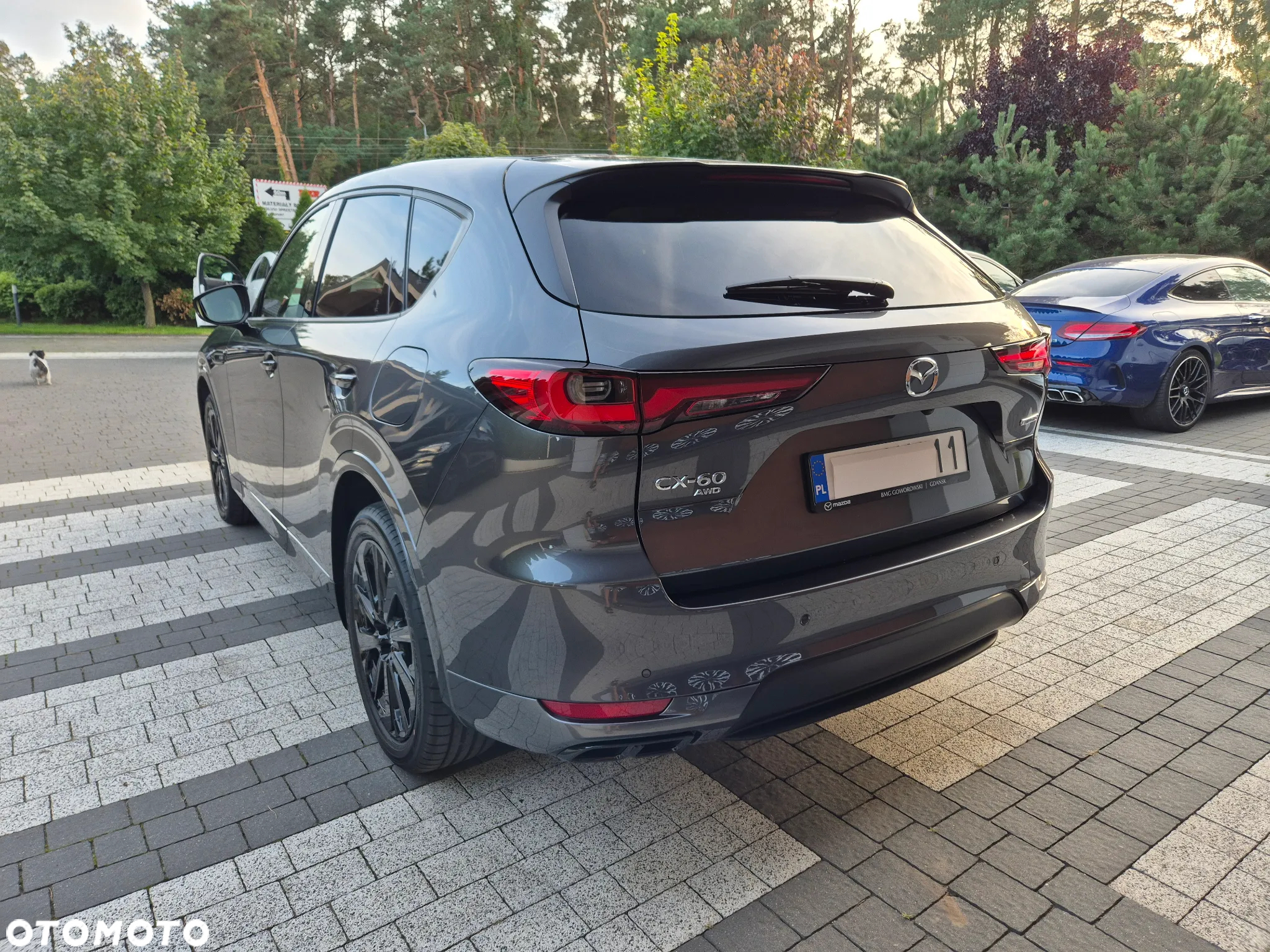 Mazda CX-60 - 20