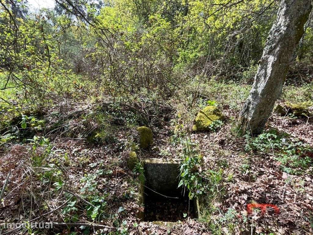 Quintinha T2 Venda em Cambra e Carvalhal de Vermilhas,Vouzela - Grande imagem: 4/33