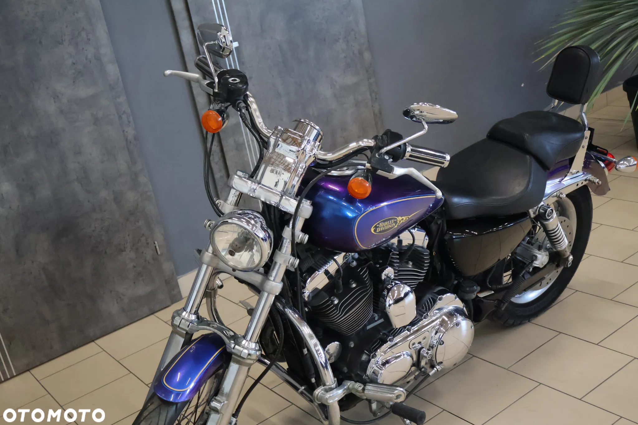 Harley-Davidson Sportster Custom 1200C - 5