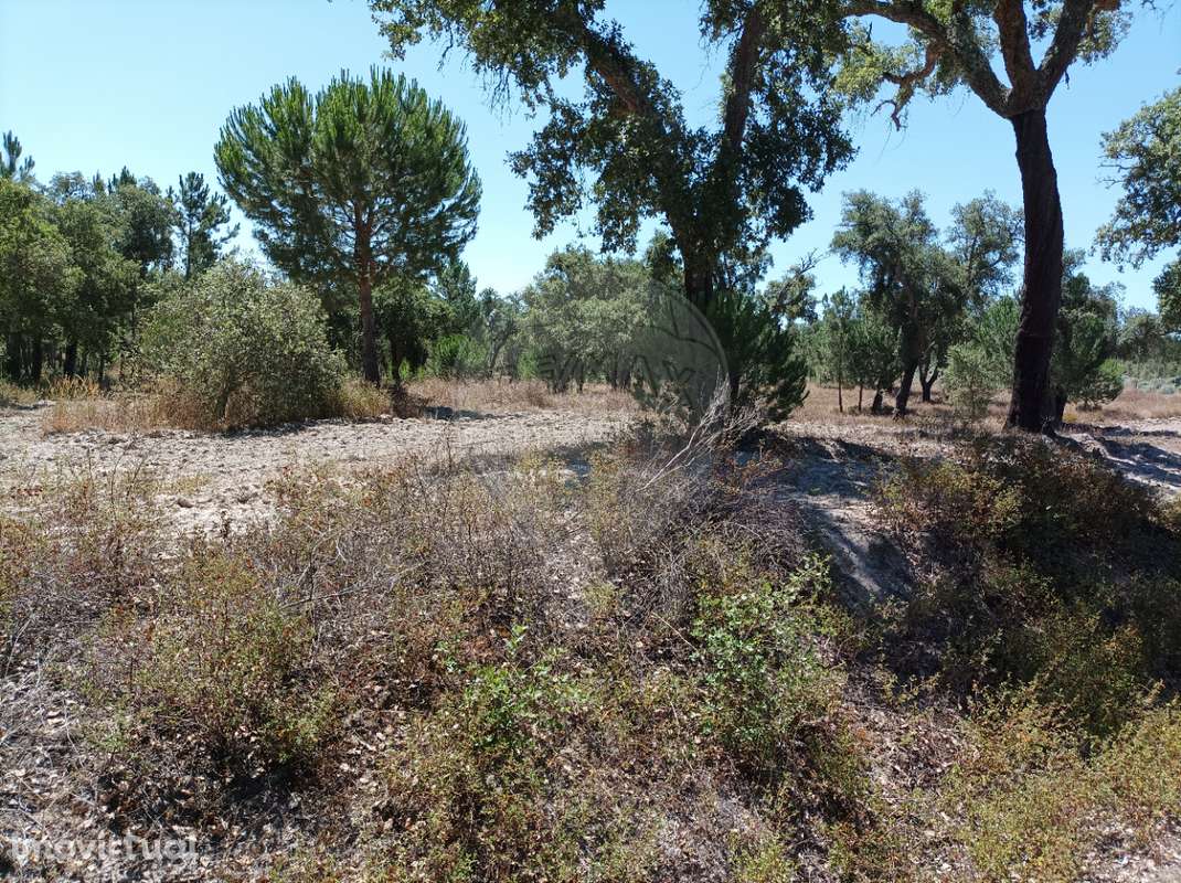 Terreno  para venda - Grande imagem: 5/7