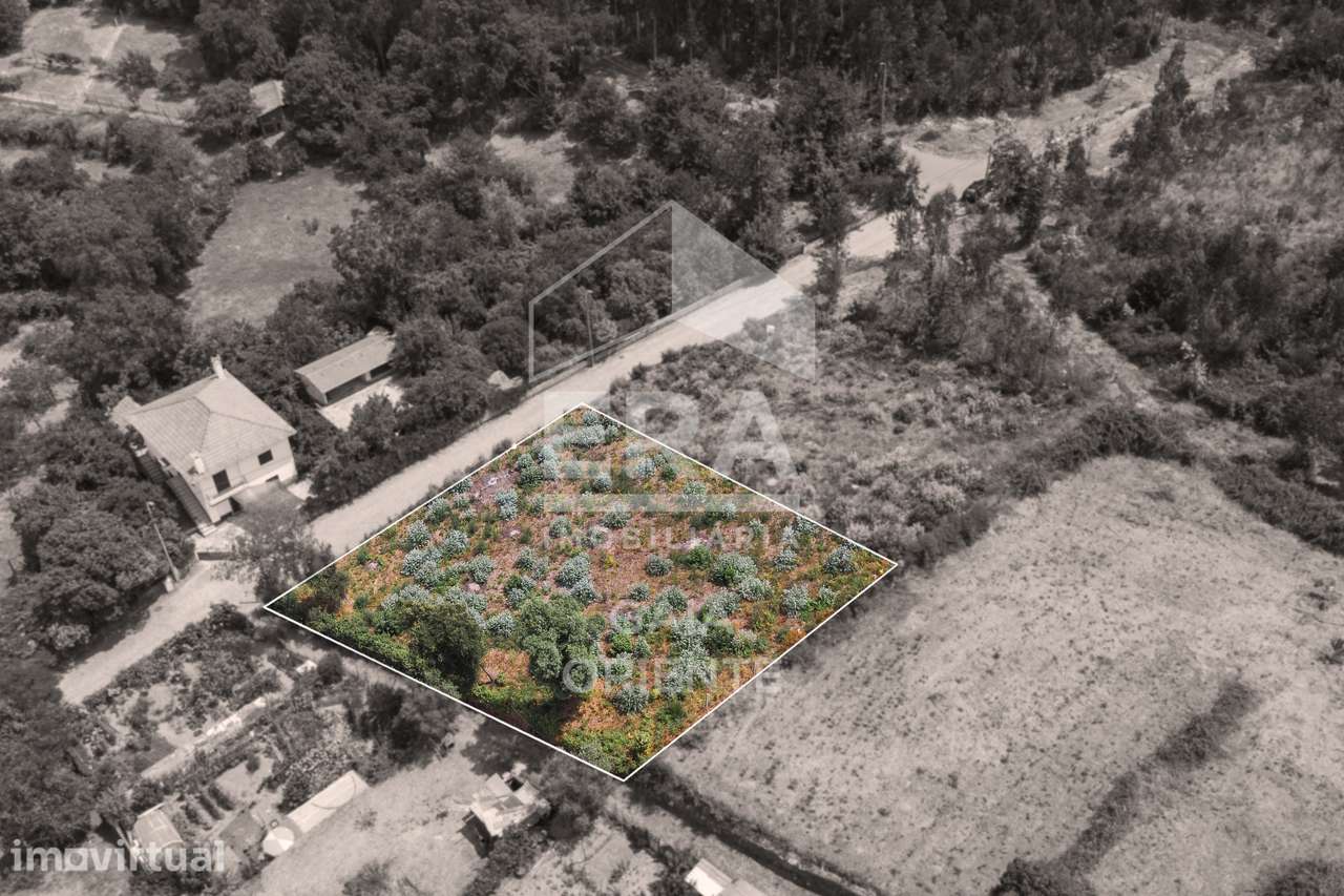 Terreno para construção em Olival - Grande imagem: 5/8
