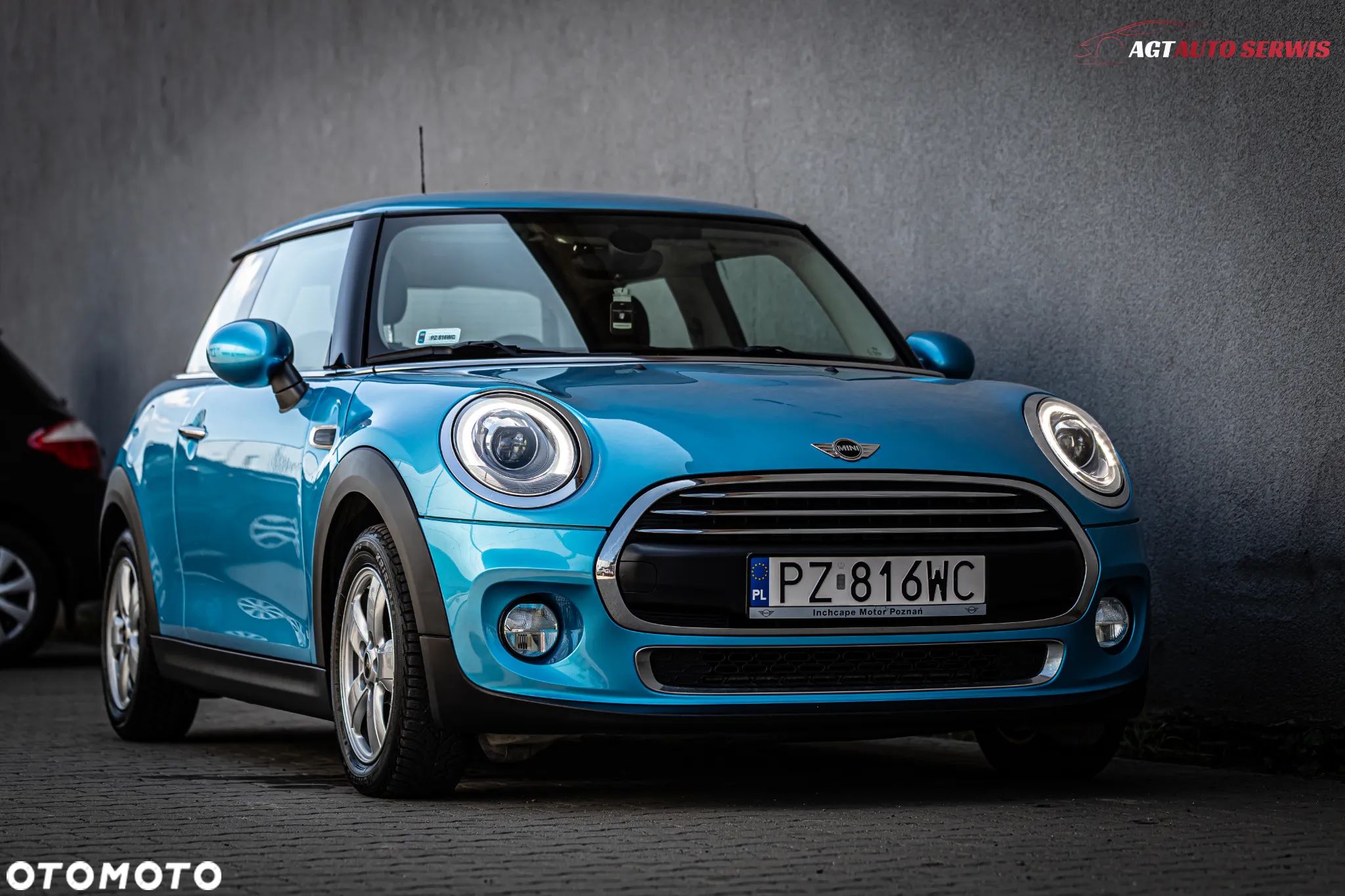 MINI ONE Standard - 1