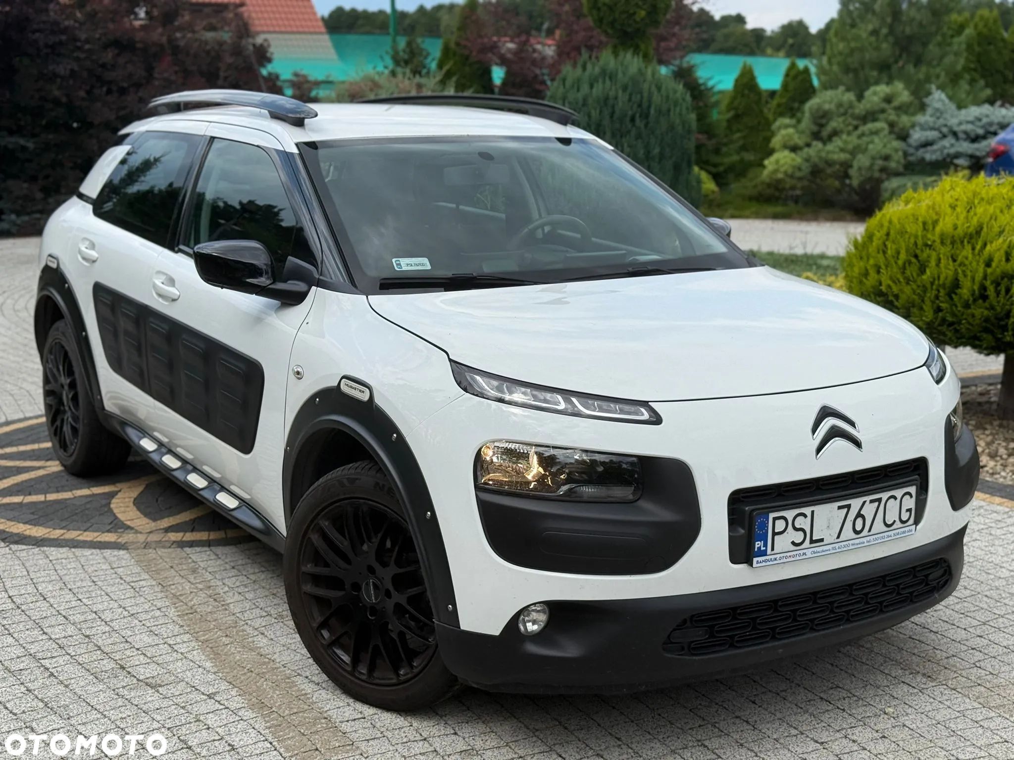 Citroën C4 Cactus PureTech 82 Selection - 1