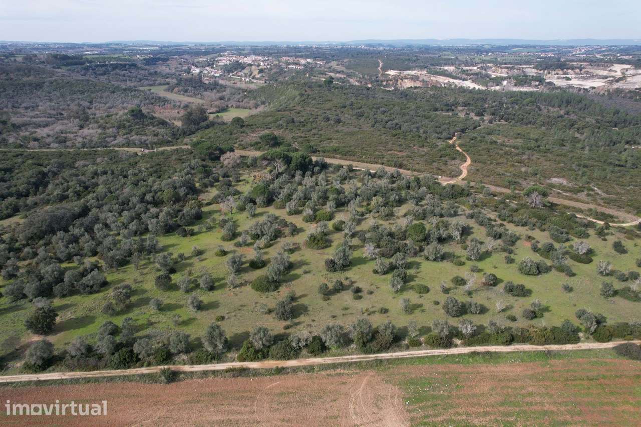 Terreno Para Construção  Venda em Almoster,Santarém - Grande imagem: 2/4