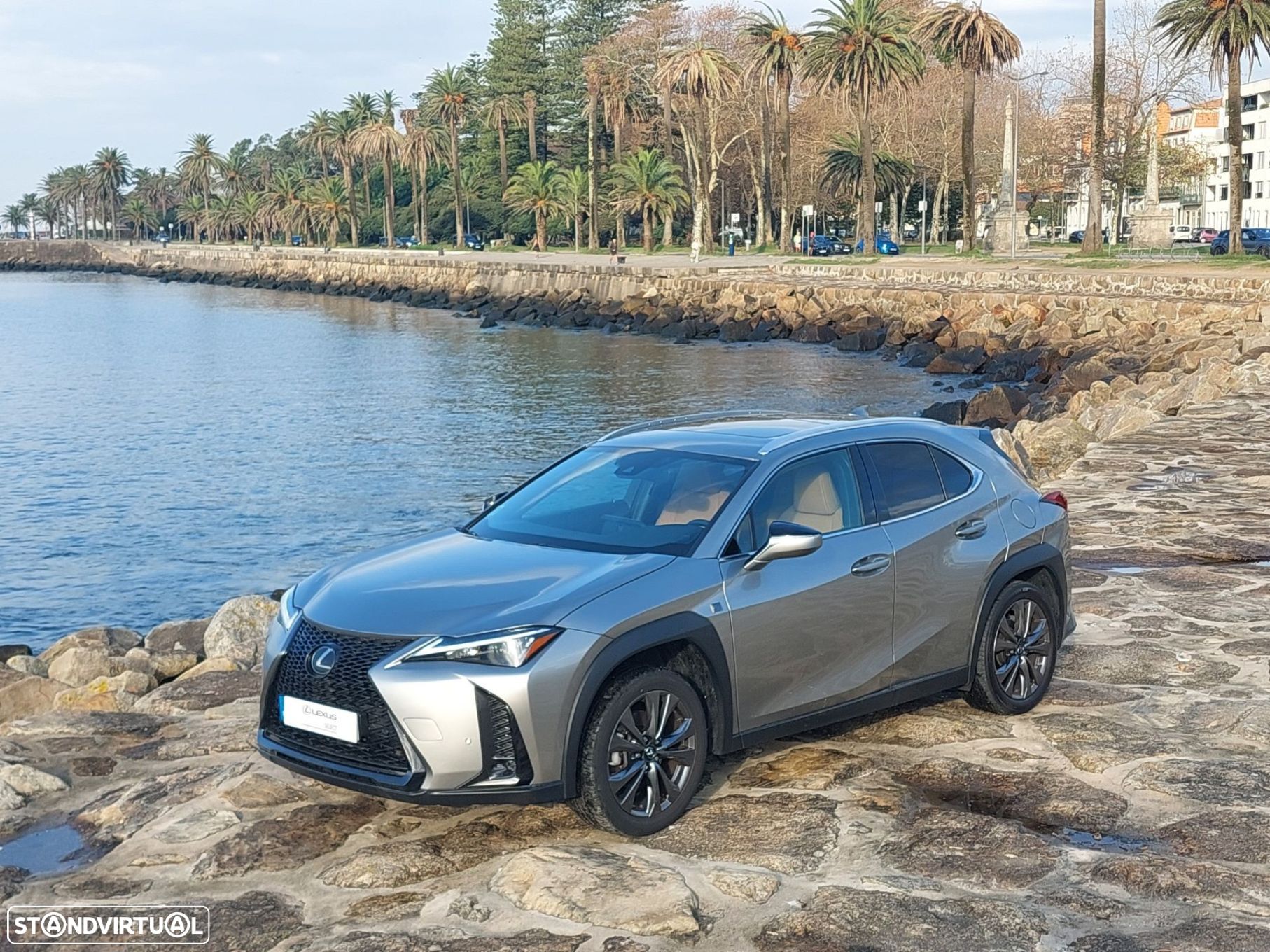Lexus UX 250h - 1