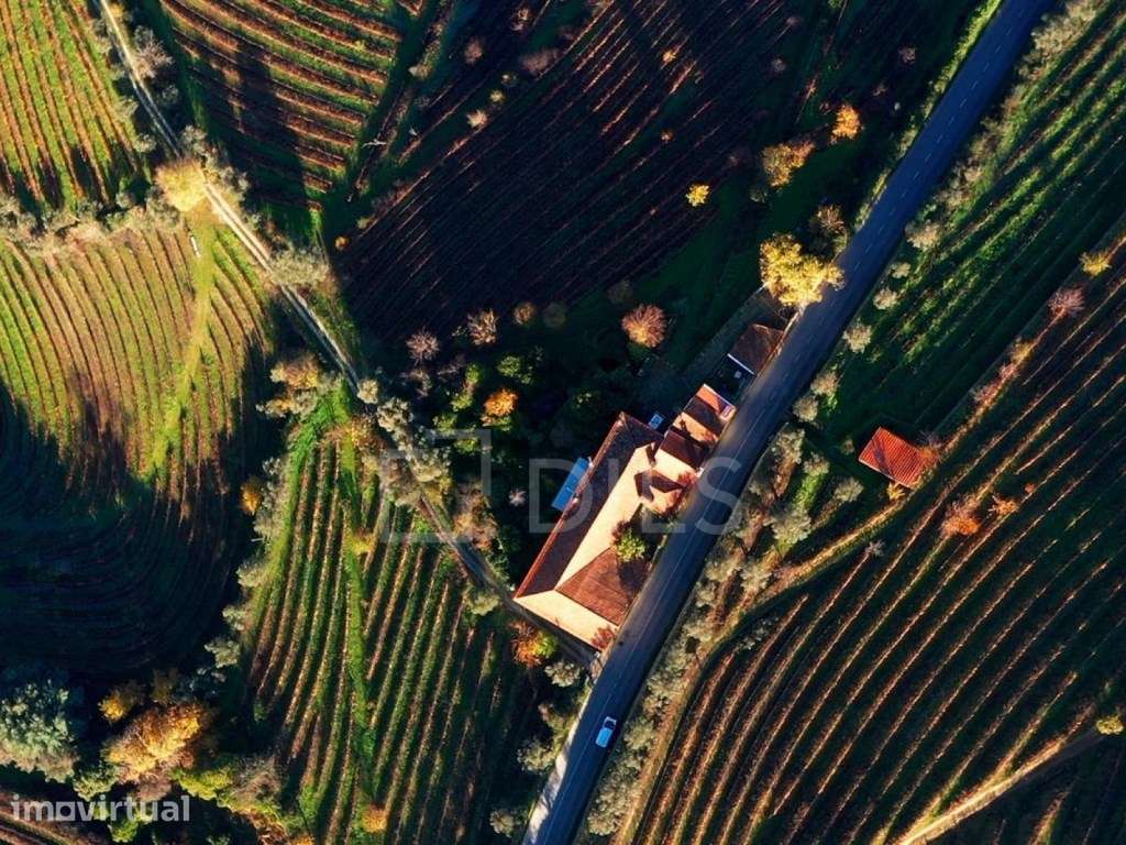 Quinta T6 em Lamego, Cambres, com vinha e vistas rio Douro - Grande imagem: 5/25