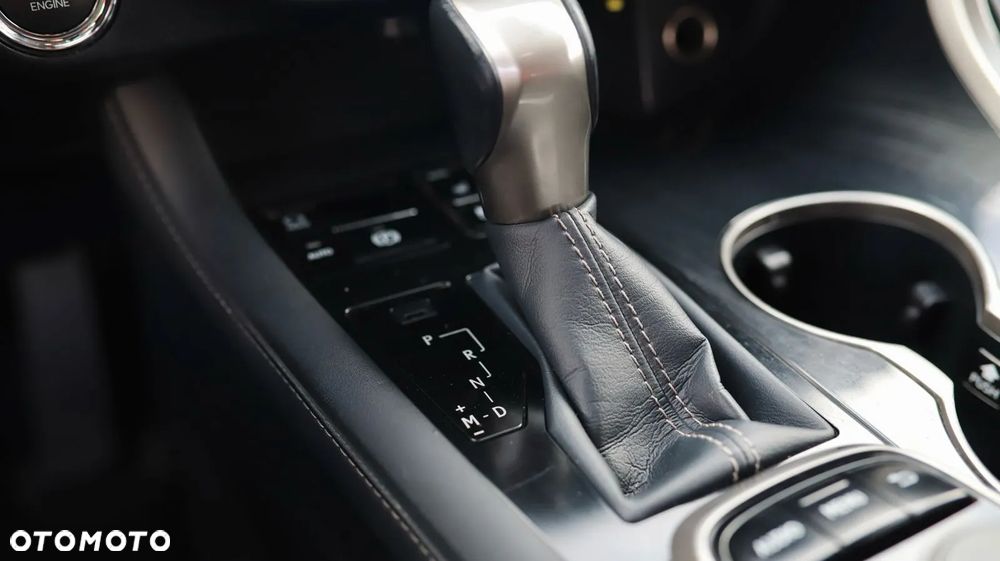 Lexus RX 200t / 300 Prestige - 31