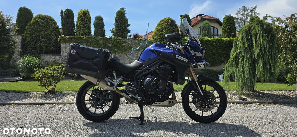 Triumph Tiger - 1