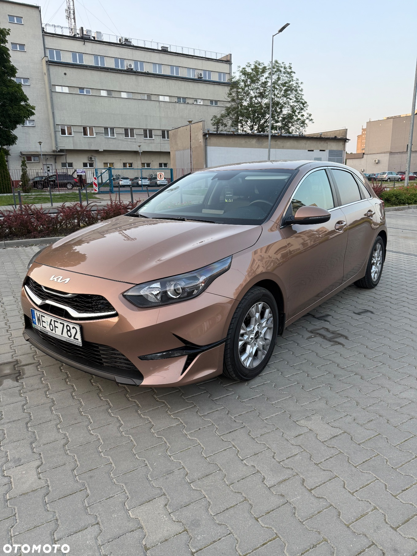 Kia Ceed 1.5 T-GDI Business Line Plus - 3