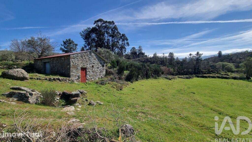 Quinta em Cortiçô da Serra, Vide Entre Vinhas e Salgueirais de 105,00 - Grande imagem: 5/23