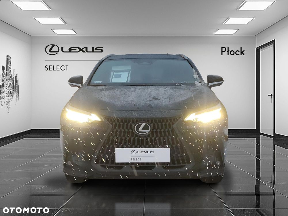 Lexus NX 350h Omotenashi AWD - 8