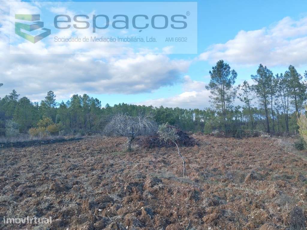 Terreno - Grande imagem: 2/9