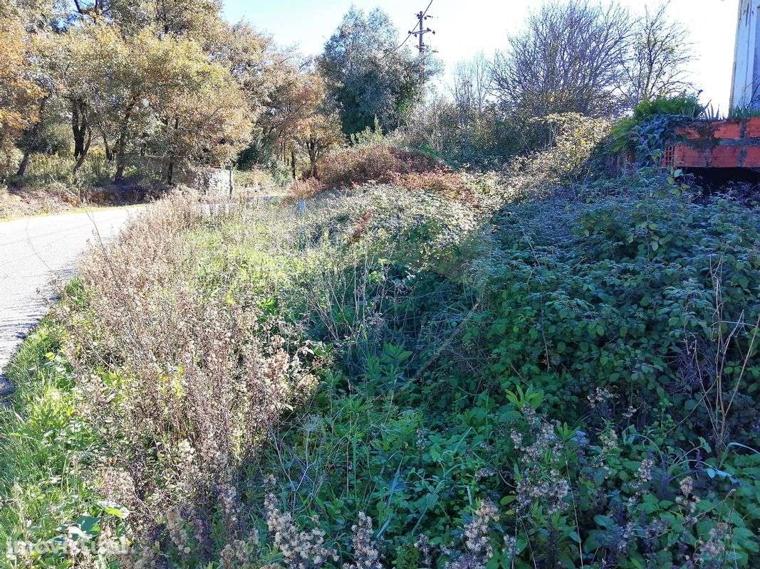 Terreno  para venda - Grande imagem: 3/6