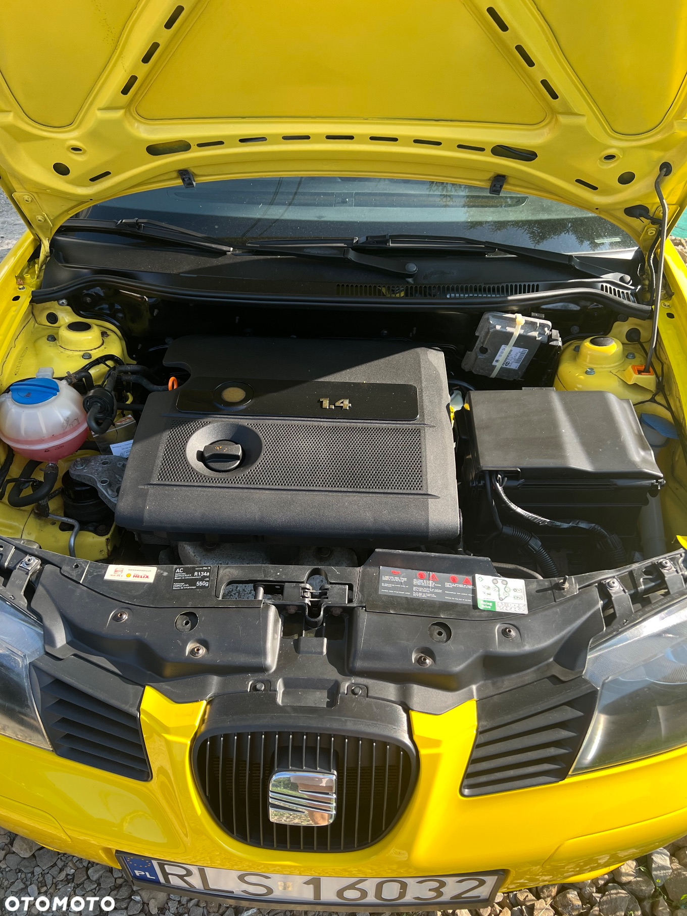 Seat Ibiza - 16