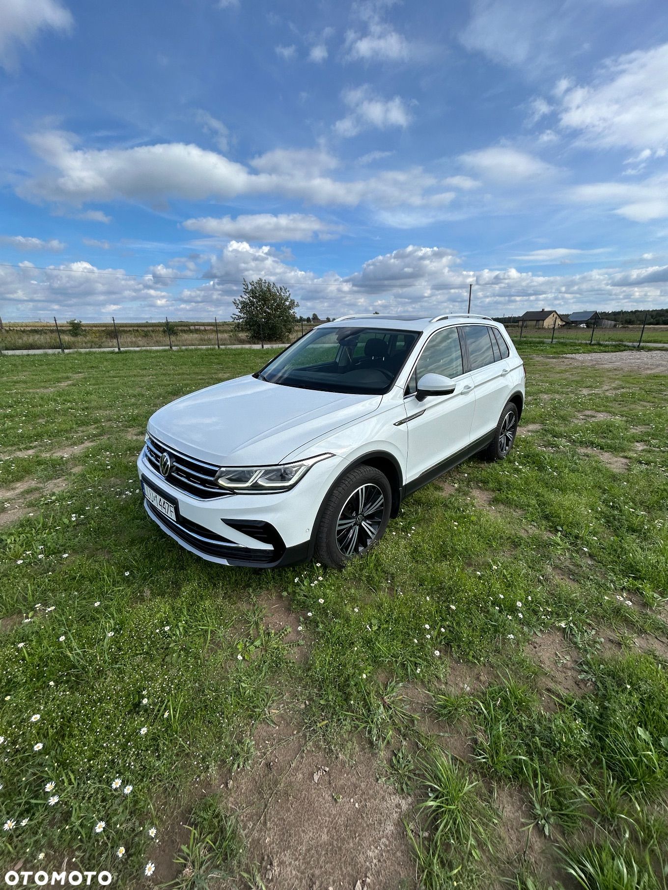 Volkswagen Tiguan 2.0 TDI SCR 4MOTION DSG Elegance - 1