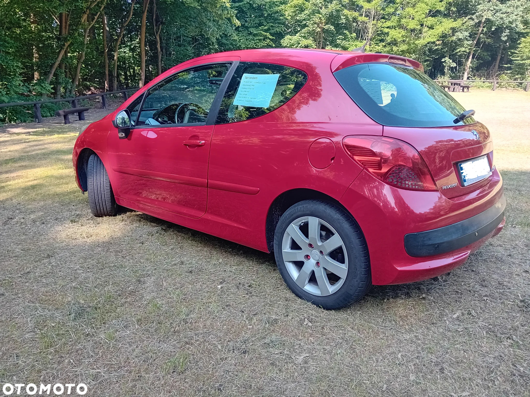 Peugeot 207 - 4
