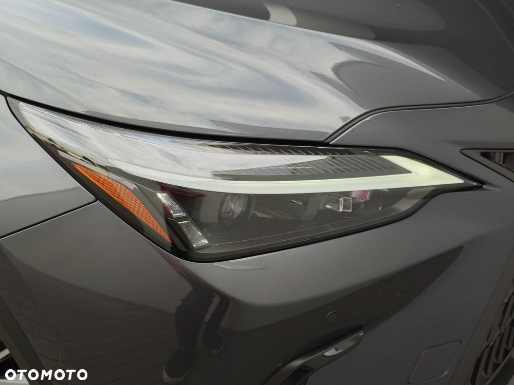 Lexus NX - 10