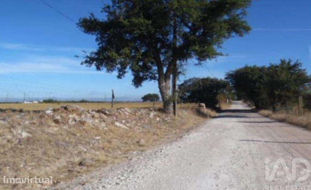 Terreno Agrícola em Estremoz - Grande imagem: 4/5